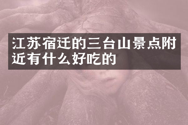 江苏宿迁的三台山景点附近有什么好吃的