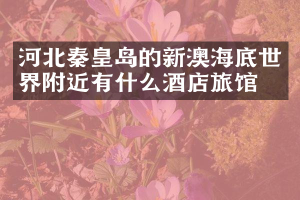 河北秦皇岛的新澳海底世界附近有什么酒店旅馆吗