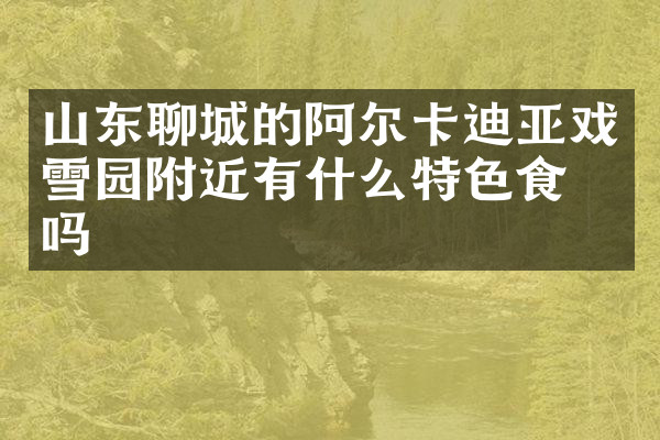 山东聊城的阿尔卡迪亚戏雪园附近有什么特色食物吗