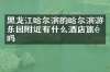 黑龙江哈尔滨的哈尔滨游乐园附近有什么酒店旅馆吗
