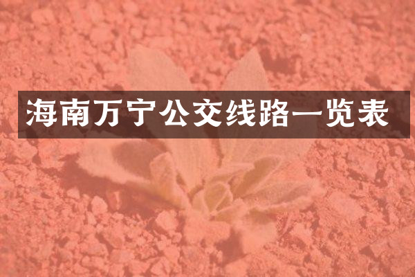 海南万宁公交线路一览表