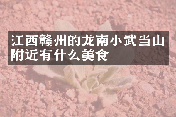江西赣州的龙南小武当山附近有什么美食