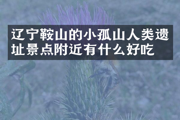 辽宁鞍山的小孤山人类遗址景点附近有什么好吃的
