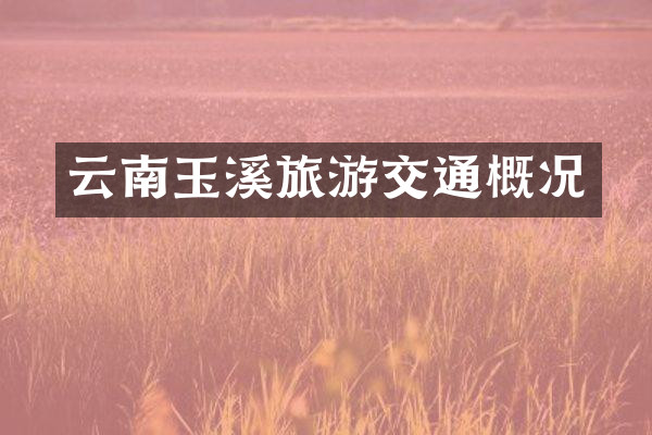 云南玉溪旅游交通概况