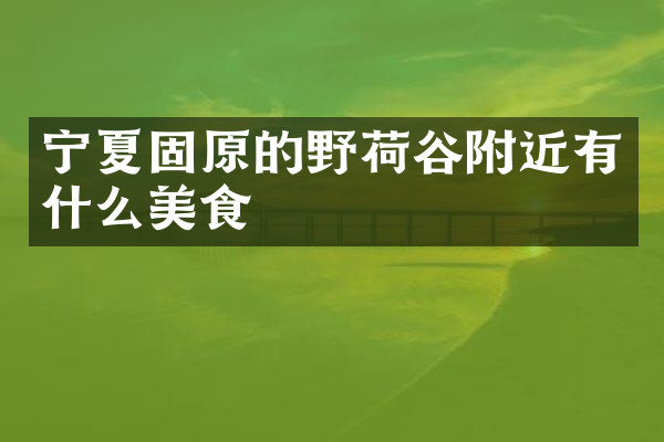 宁夏固原的野荷谷附近有什么美食