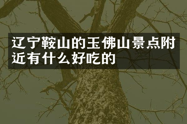 辽宁鞍山的玉佛山景点附近有什么好吃的