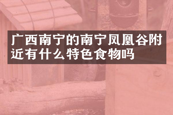 广西南宁的南宁凤凰谷附近有什么特色食物吗