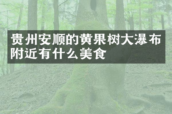 贵州安顺的黄果树大瀑布附近有什么美食