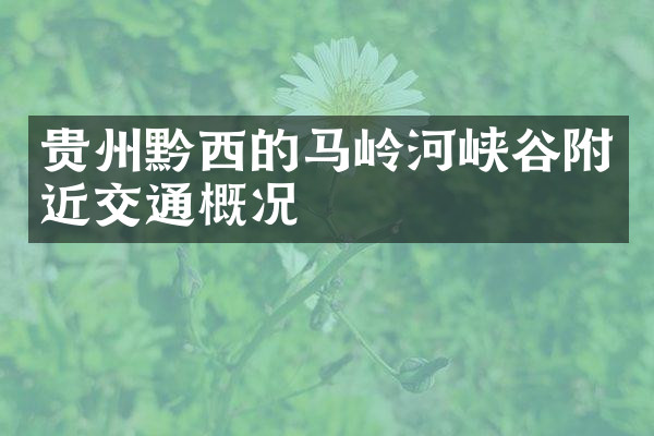 贵州黔西的马岭河峡谷附近交通概况