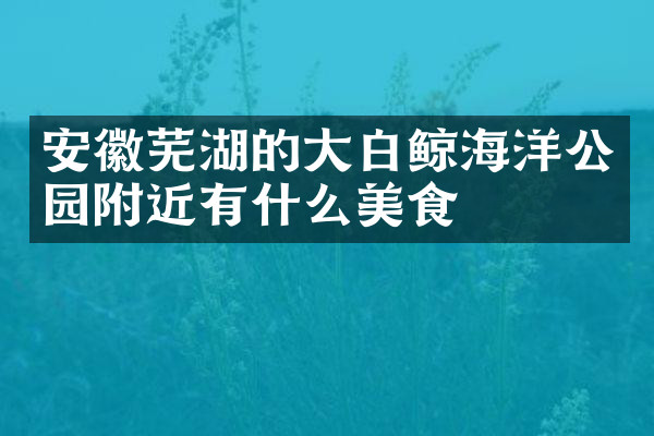 安徽芜湖的大白鲸海洋公园附近有什么美食