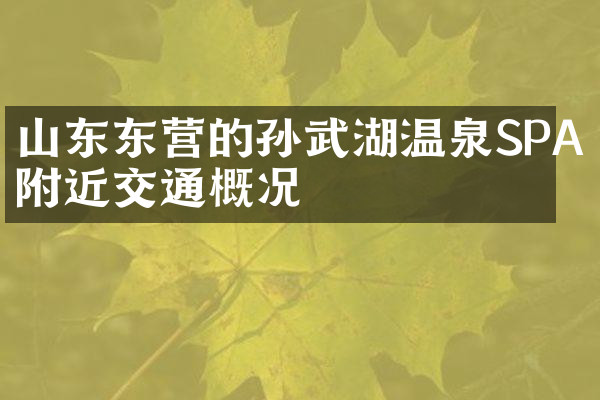 山东东营的孙武湖温泉SPA附近交通概况