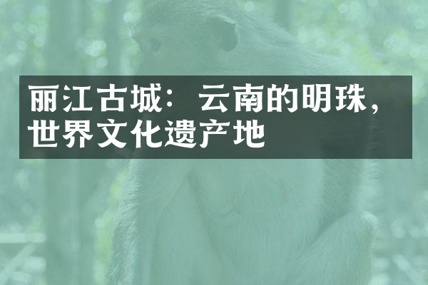 丽江古城：云南的明珠，世界文化遗产地