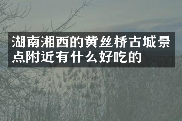 湖南湘西的黄丝桥古城景点附近有什么好吃的