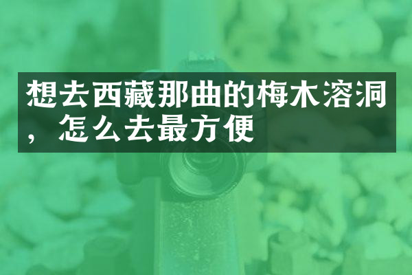 想去西藏那曲的梅木溶洞，怎么去最方便