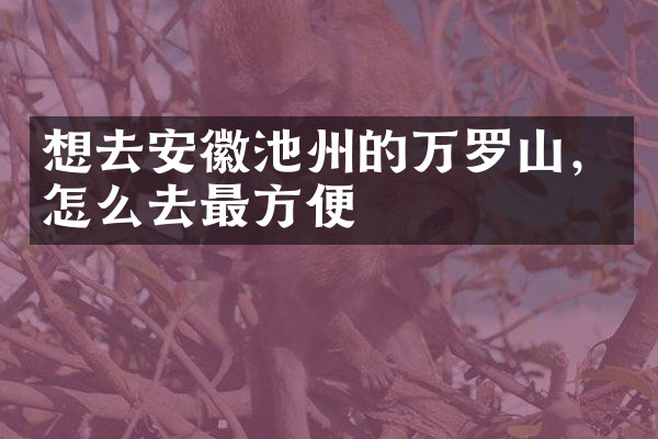 想去安徽池州的万罗山，怎么去最方便