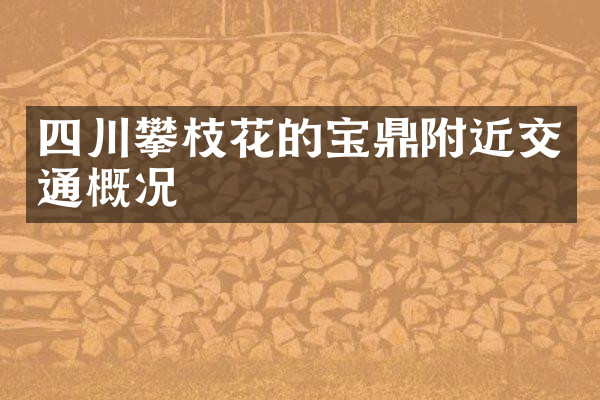四川攀枝花的宝鼎附近交通概况