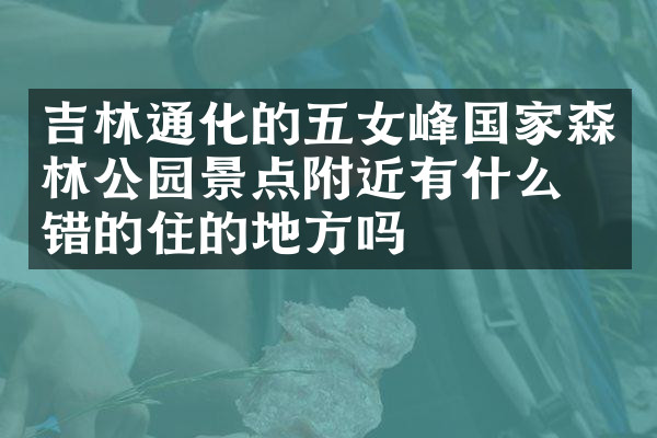 吉林通化的五女峰国家森林公园景点附近有什么不错的住的地方吗