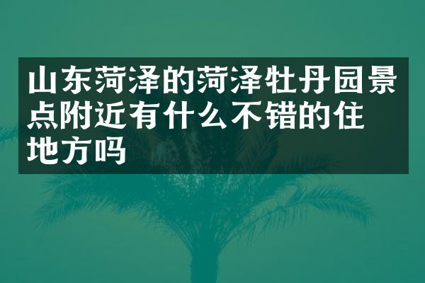 山东菏泽的菏泽牡丹园景点附近有什么不错的住的地方吗