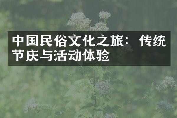 中国民俗文化之旅：传统节庆与活动体验