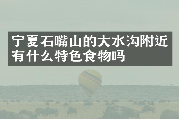宁夏石嘴山的大水沟附近有什么特色食物吗