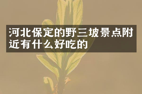 河北保定的野三坡景点附近有什么好吃的