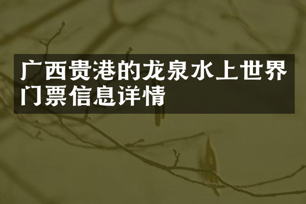 广西贵港的龙泉水上世界门票信息详情