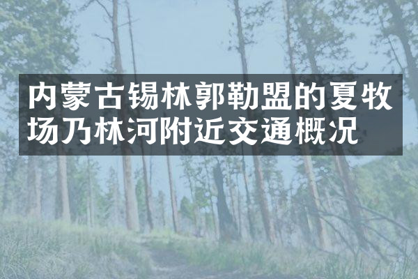 内蒙古锡林郭勒盟的夏牧场乃林河附近交通概况