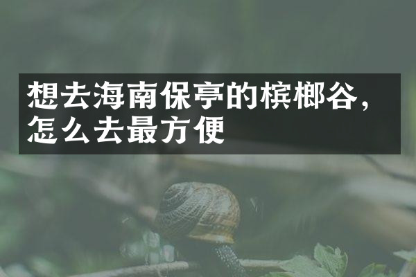 想去海南保亭的槟榔谷，怎么去最方便