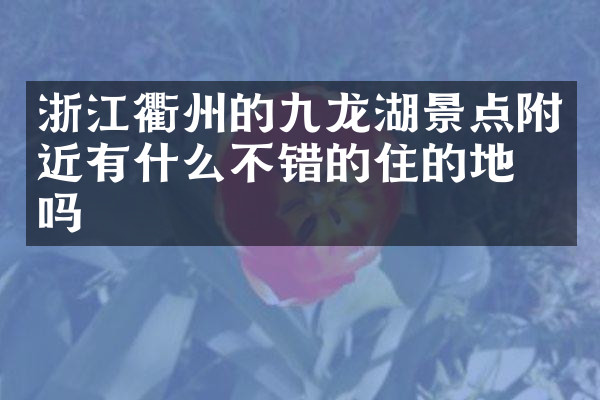 浙江衢州的九龙湖景点附近有什么不错的住的地方吗