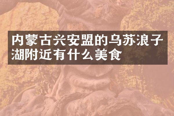 内蒙古兴安盟的乌苏浪子湖附近有什么美食