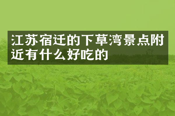 江苏宿迁的下草湾景点附近有什么好吃的