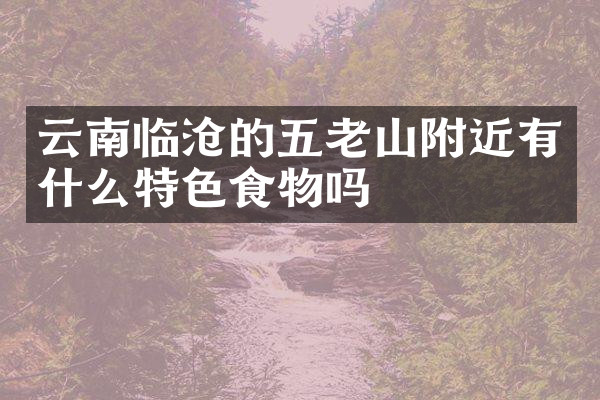 云南临沧的五老山附近有什么特色食物吗