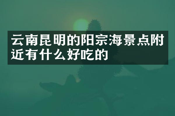 云南昆明的阳宗海景点附近有什么好吃的
