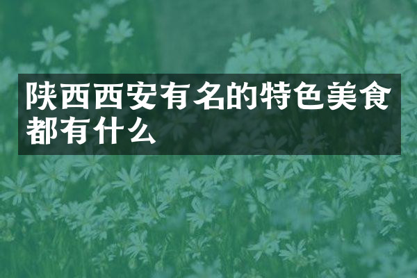 陕西西安有名的特色美食都有什么