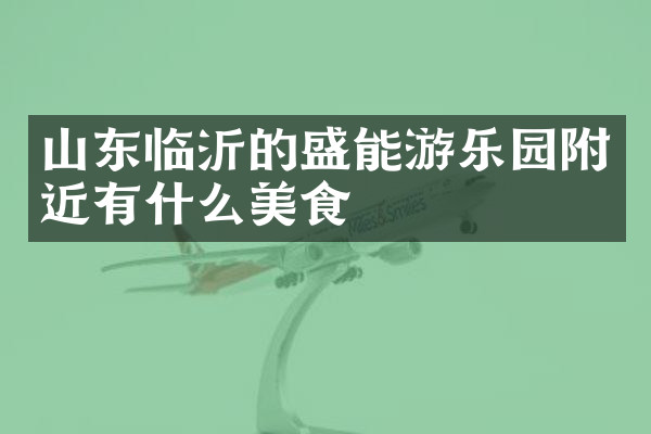 山东临沂的盛能游乐园附近有什么美食