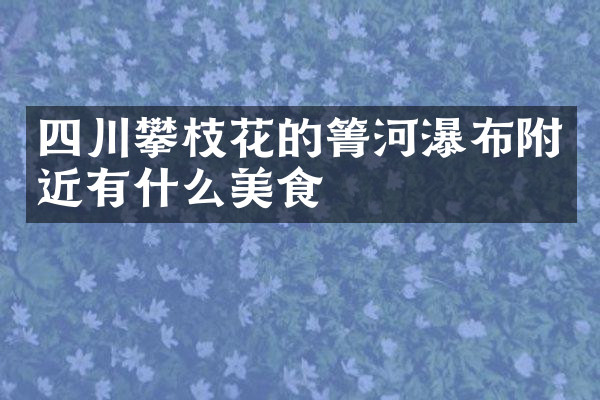 四川攀枝花的箐河瀑布附近有什么美食