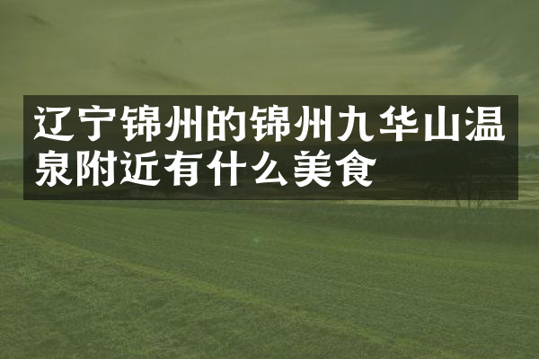 辽宁锦州的锦州九华山温泉附近有什么美食