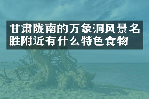 甘肃陇南的万象洞风景名胜附近有什么特色食物吗