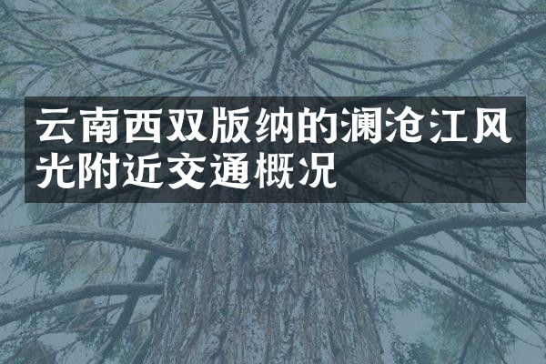 云南西双版纳的澜沧江风光附近交通概况