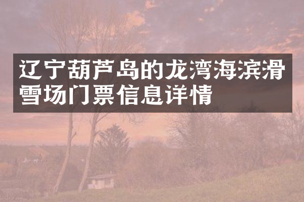 辽宁葫芦岛的龙湾海滨滑雪场门票信息详情