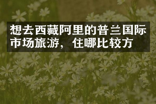 想去西藏阿里的普兰国际市场旅游，住哪比较方便