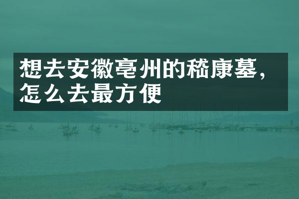 想去安徽亳州的嵇康墓，怎么去最方便