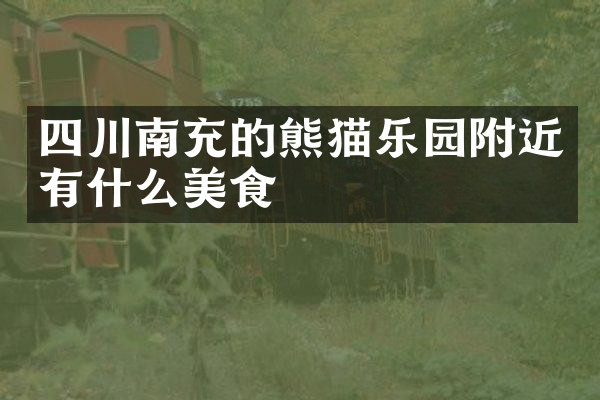 四川南充的熊猫乐园附近有什么美食