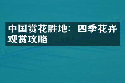 中国赏花胜地：四季花卉观赏攻略