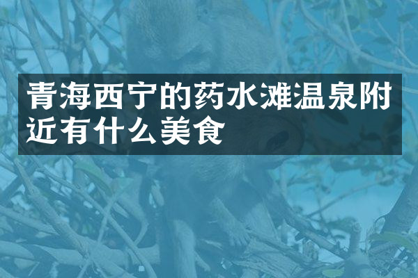 青海西宁的药水滩温泉附近有什么美食