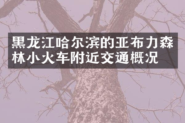 黑龙江哈尔滨的亚布力森林小火车附近交通概况