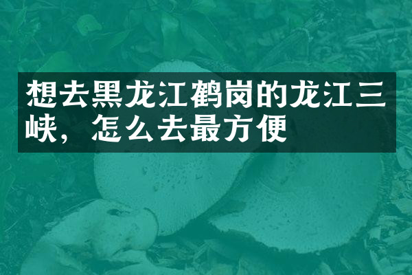 想去黑龙江鹤岗的龙江三峡，怎么去最方便