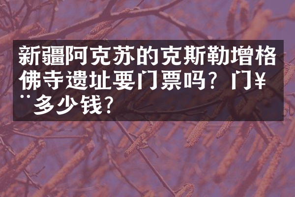 新疆阿克苏的克斯勒增格佛寺遗址要门票吗？门票多少钱？