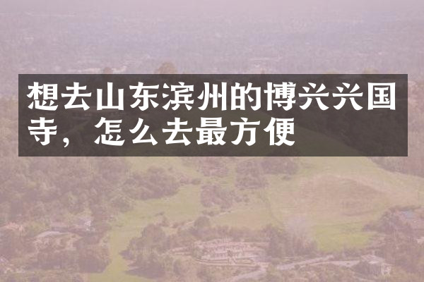 想去山东滨州的博兴兴国寺，怎么去最方便