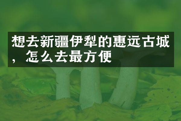 想去新疆伊犁的惠远古城，怎么去最方便